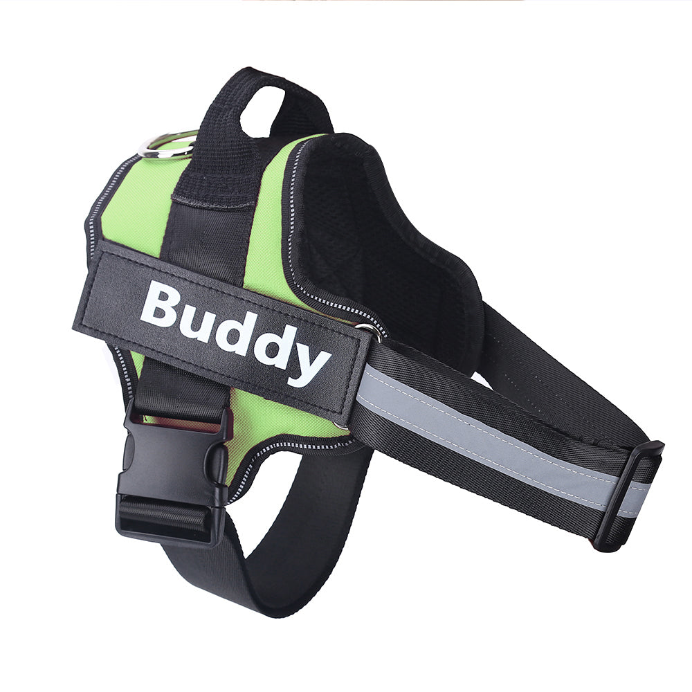 Personalized No Pull Dog Harness - Pawlunexa
