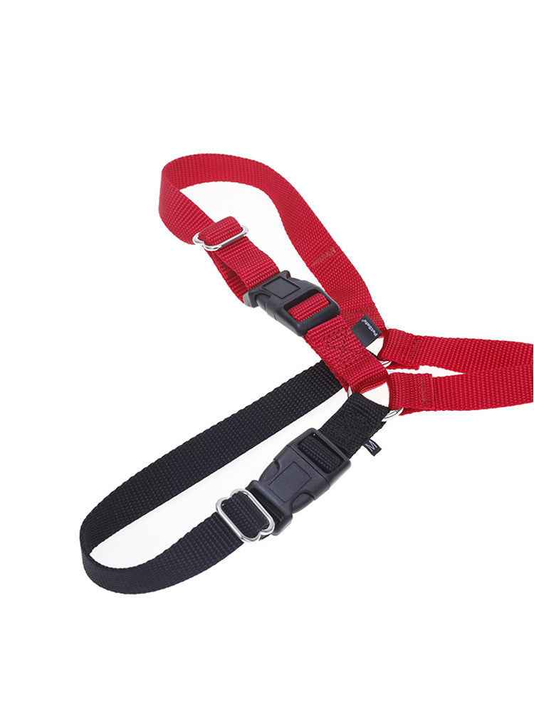comfortable dog walking collar