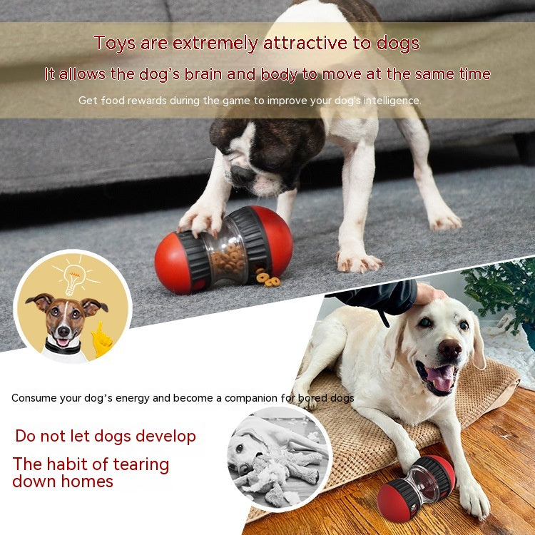 Interactive Dog Food Puzzle Toy - Pawlunexa