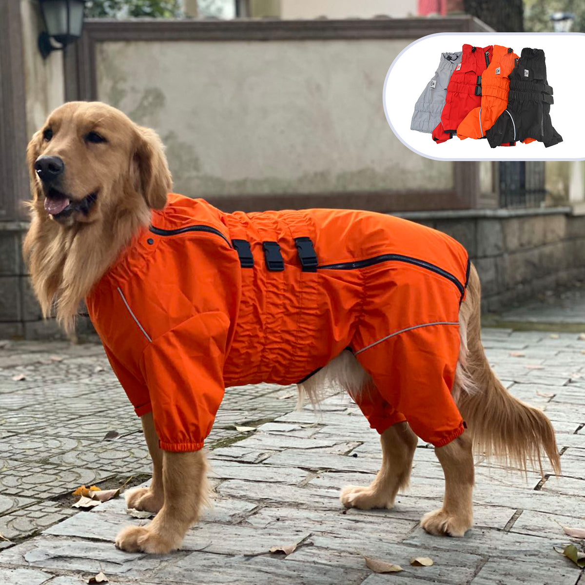Pet dog raincoat for outdoor adventures - Pawlunexa