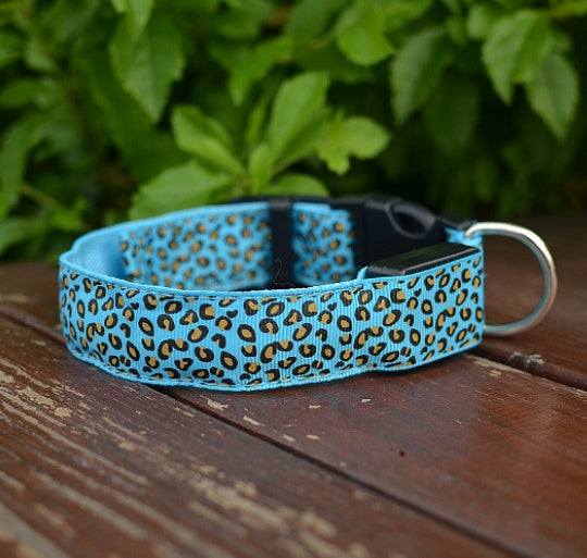 LED dog collar safety - Pawlunexa