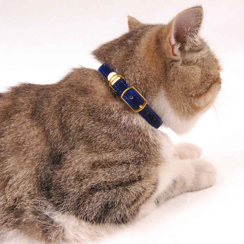 Stylish cat collar