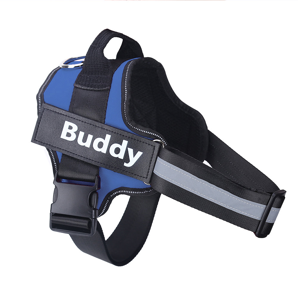 Personalized No Pull Dog Harness - Pawlunexa
