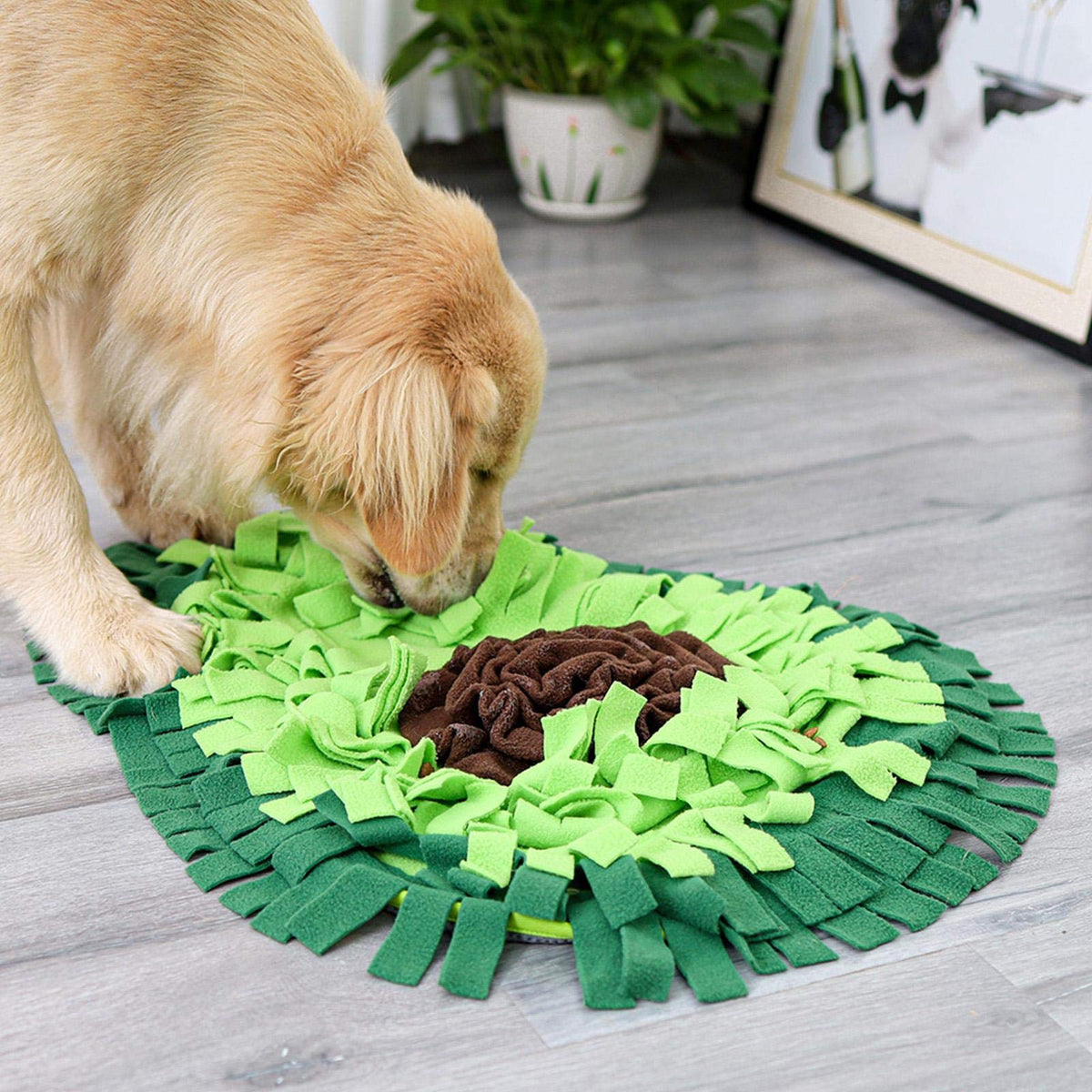 Dog Sniffing Mat - Pawlunexa