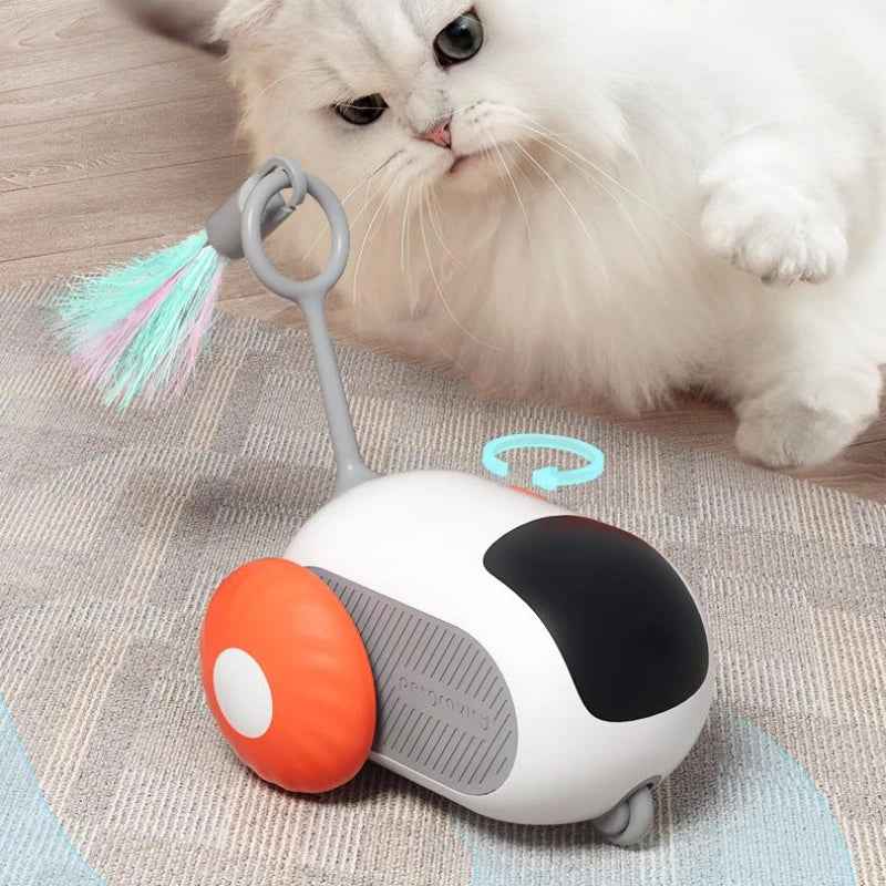 Interactive Cat Toy with Remote Control