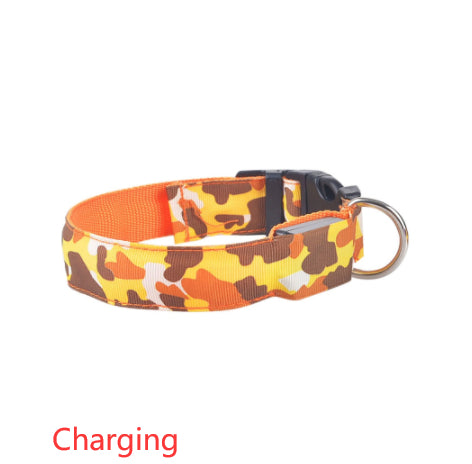 luminous dog collar - Pawlunexa