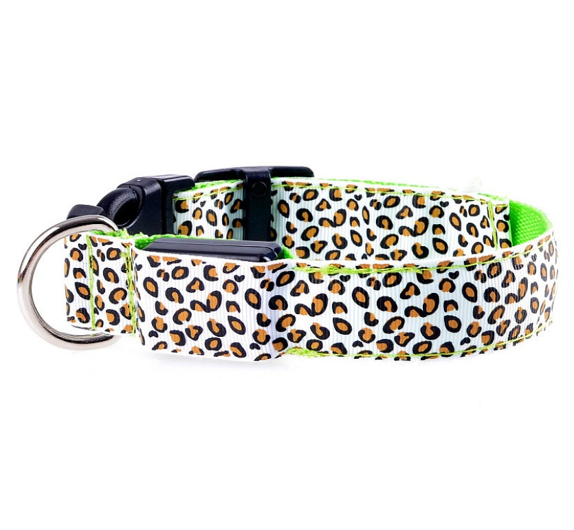 LED dog collar safety - Pawlunexa