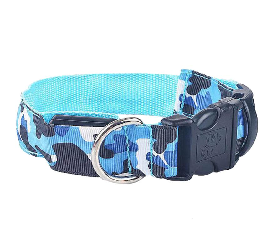 luminous dog collar - Pawlunexa