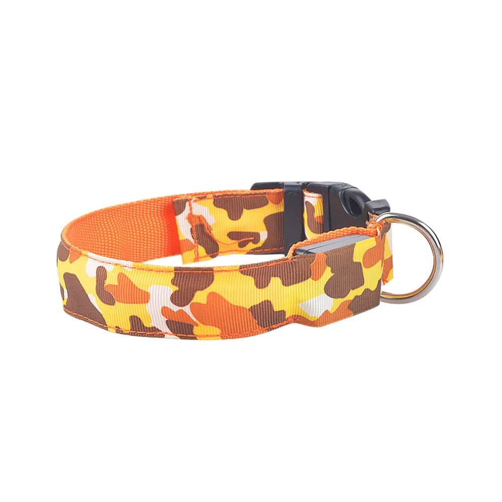 luminous dog collar - Pawlunexa