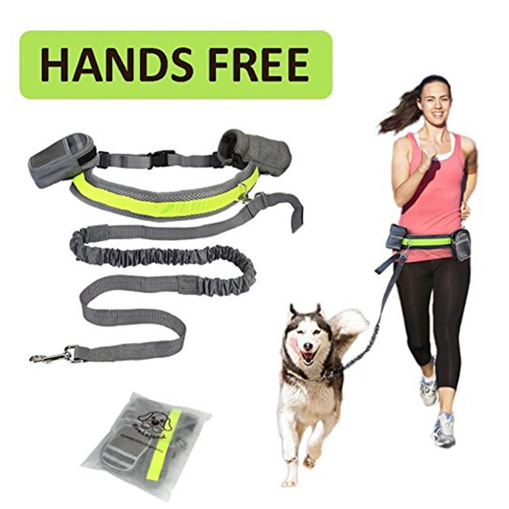 Adjustable Hands Free Dog Leash - Pawlunexa