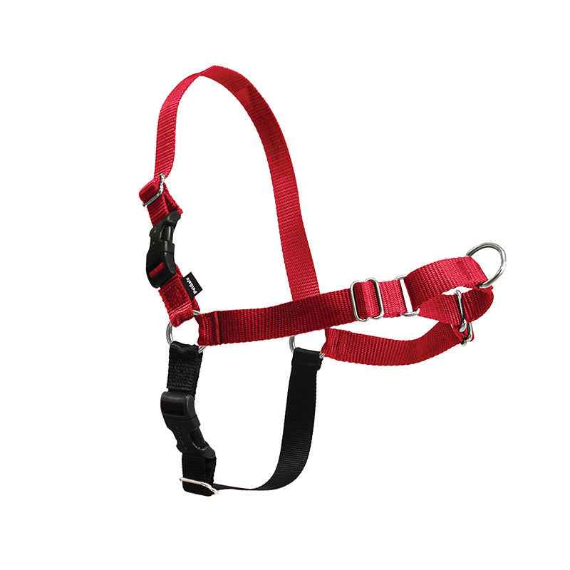 comfortable dog walking collar