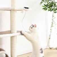 Interactive Motion Cat Toy