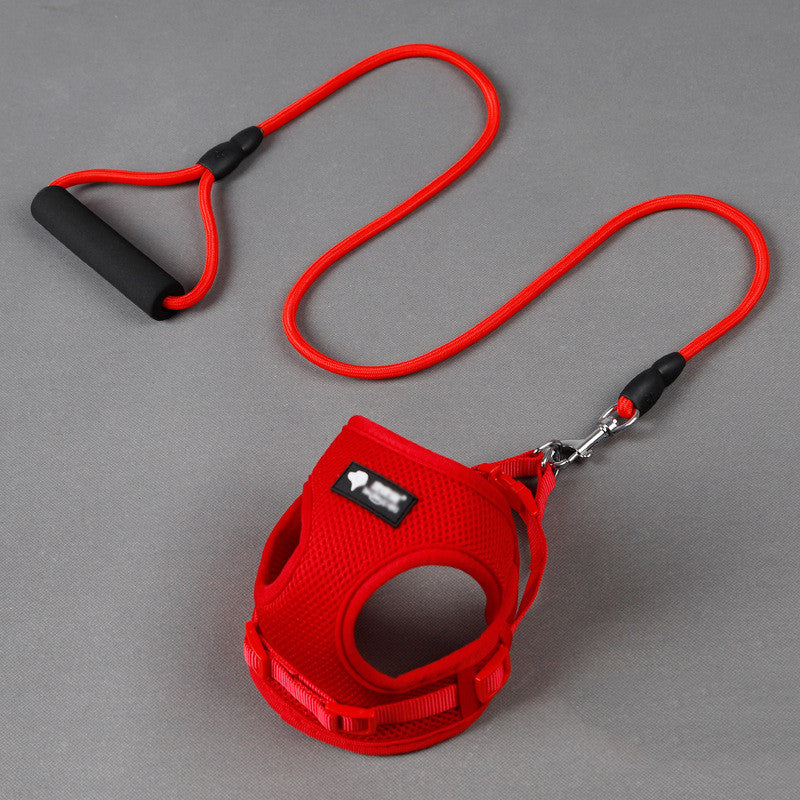 comfortable dog leash and collar - Pawlunexa