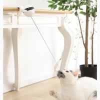 Interactive Motion Cat Toy