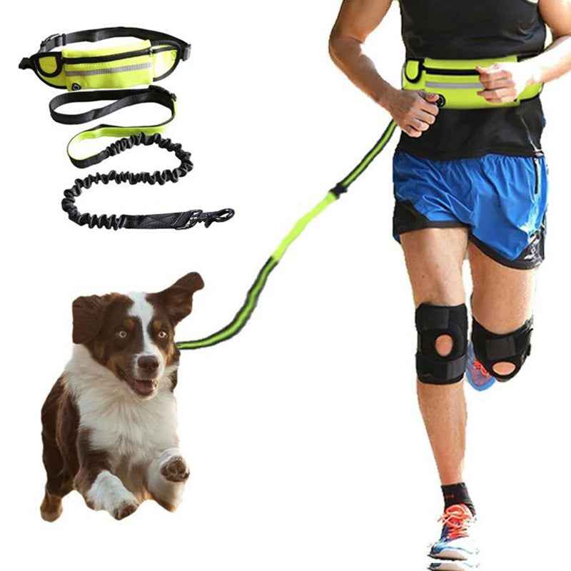 hands free dog leash