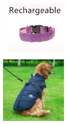 LED dog collar safety - Pawlunexa