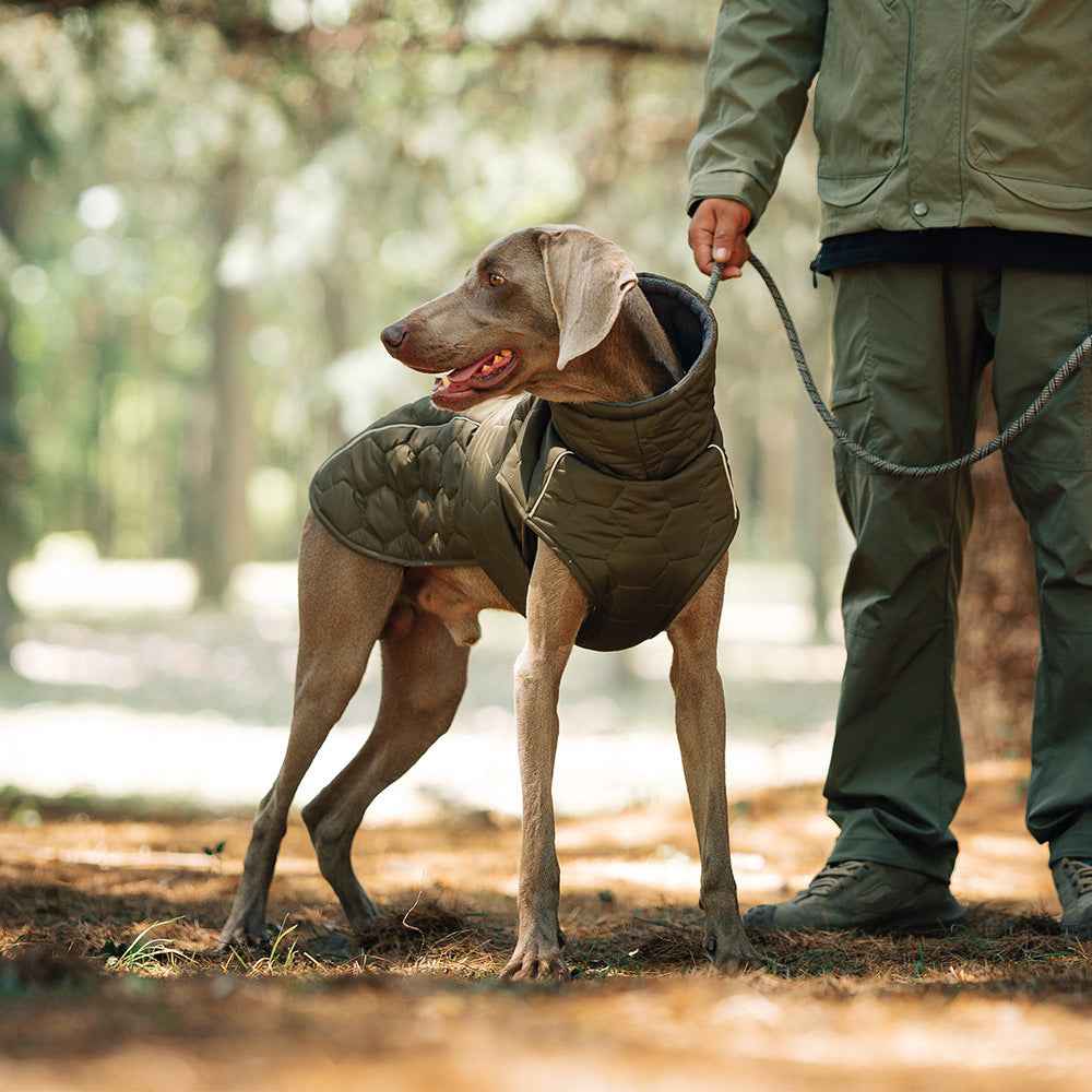 Thickened Winter Dog Clothing