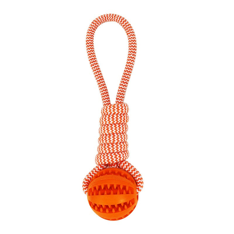 Interactive Dog Chewing Toy - Pawlunexa