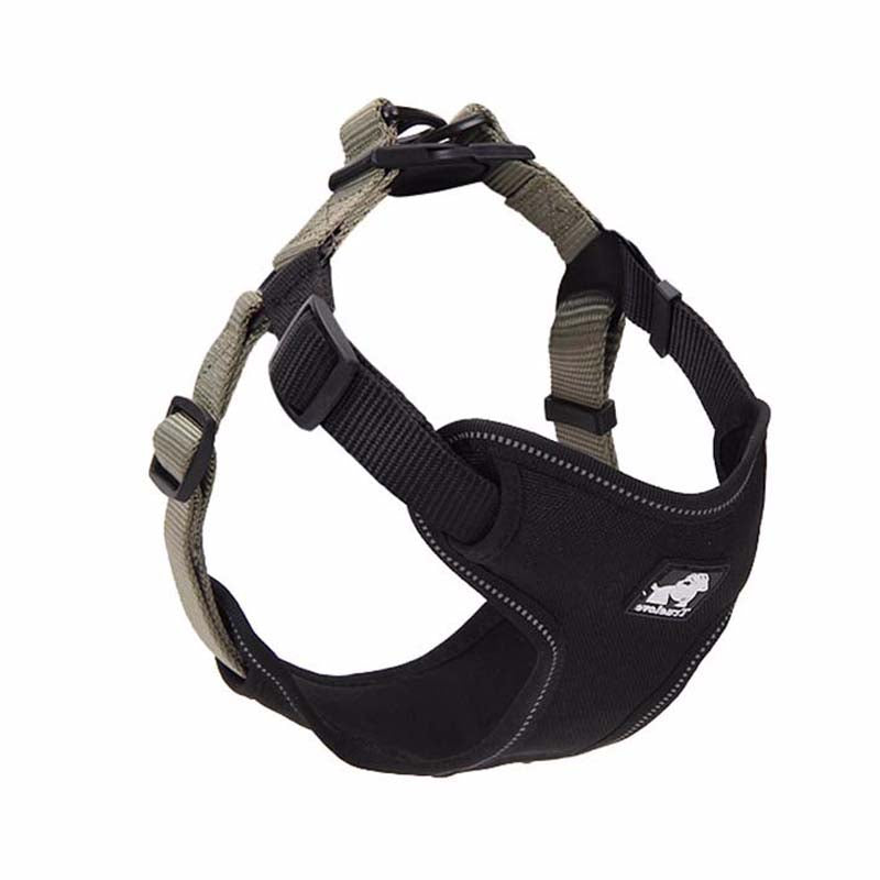 comfortable dog leash collar - Pawlunexa