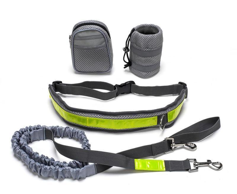 Adjustable Hands Free Dog Leash - Pawlunexa