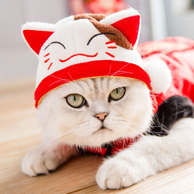 Cute Cat Dress Up Accessories - Pawlunexa