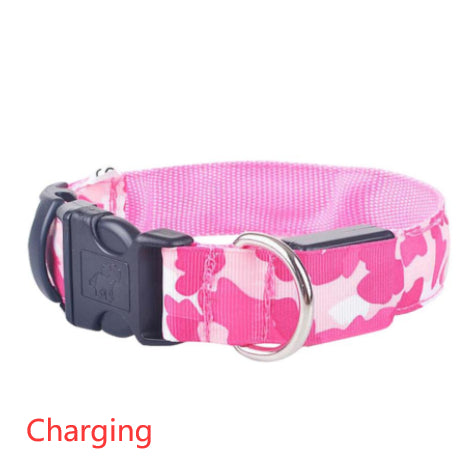 luminous dog collar - Pawlunexa