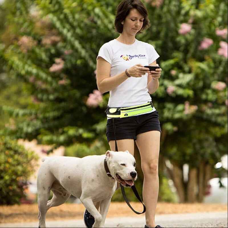 hands free dog leash