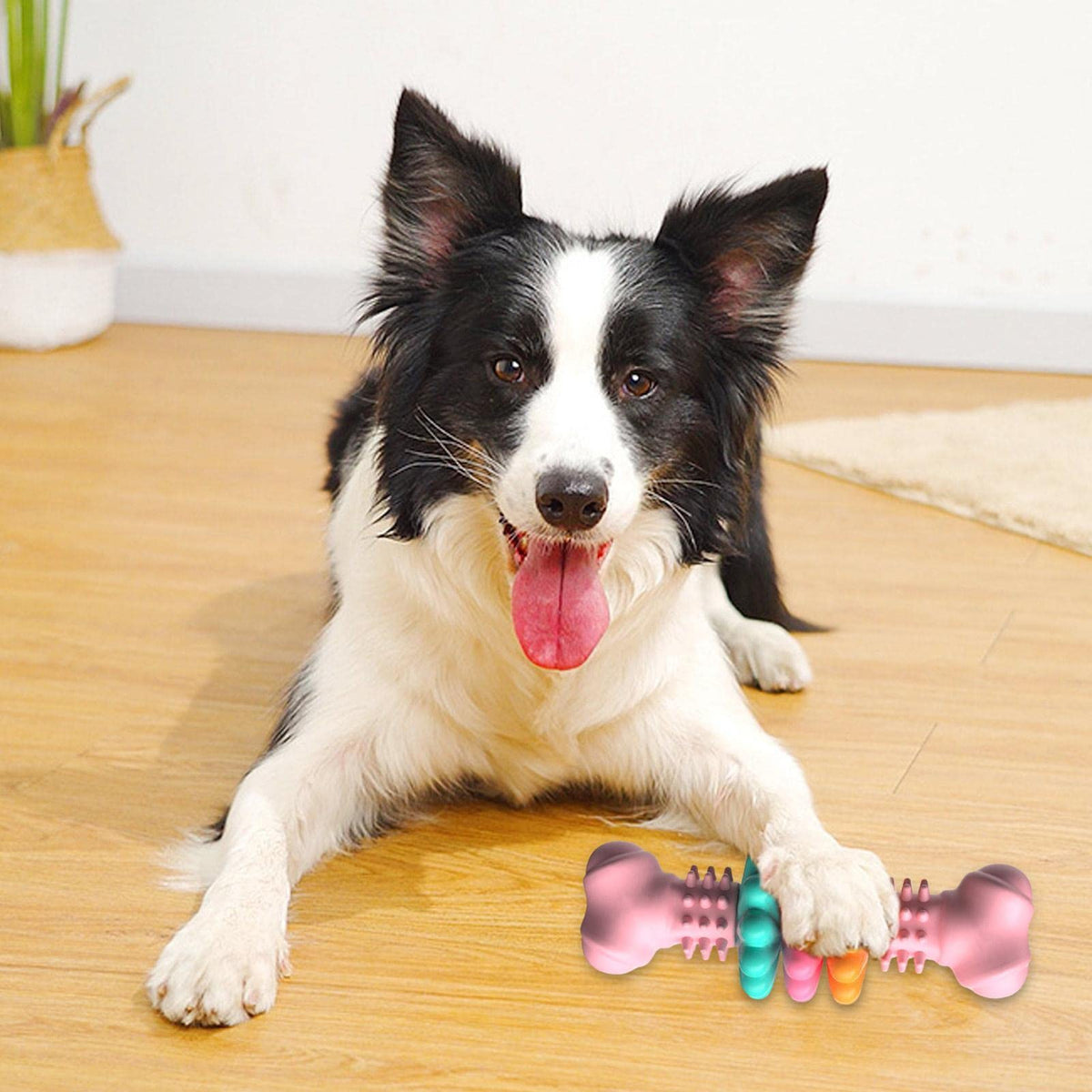Indestructible Dog Chew Toy - Pawlunexa