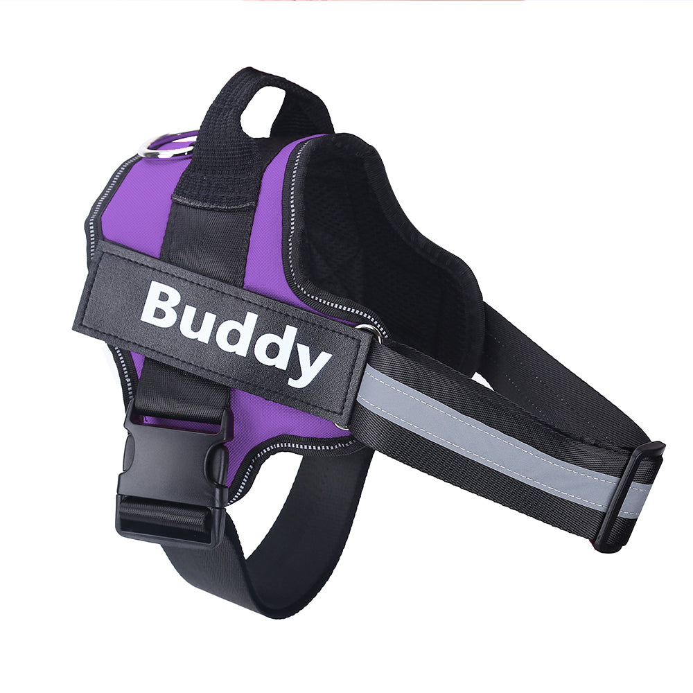 Personalized No Pull Dog Harness - Pawlunexa