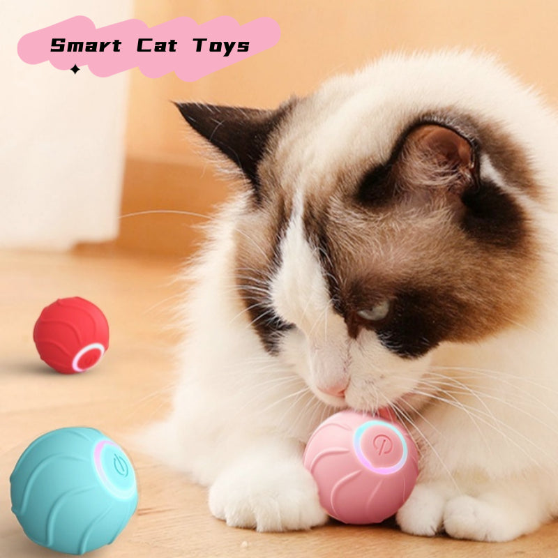 Smart Interactive Cat Toy - Pawlunexa
