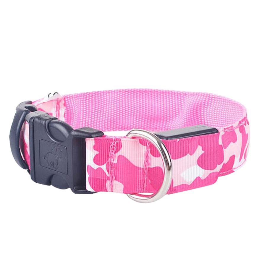 luminous dog collar - Pawlunexa
