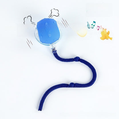 Automatic Electric Dog Toy Ball