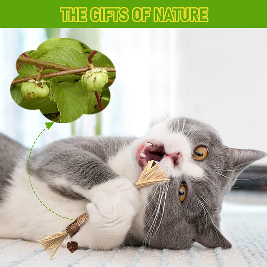 Silvervine Chew Sticks for Cats - Pawlunexa