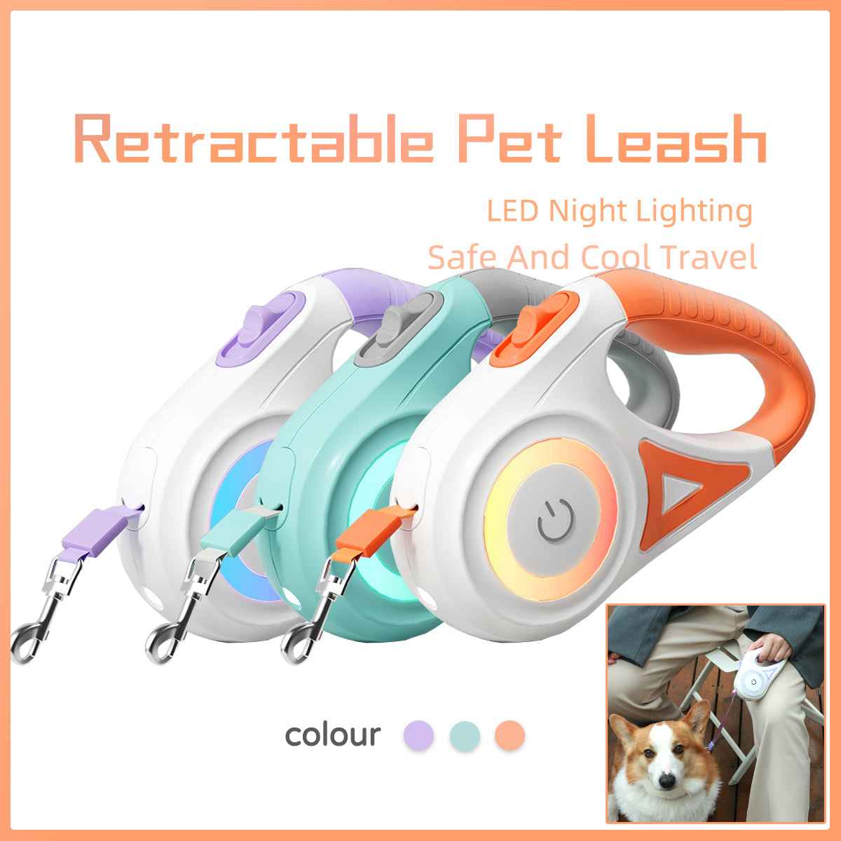 retractable dog leash with collar