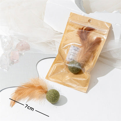 Wooden Catnip Chew Toys