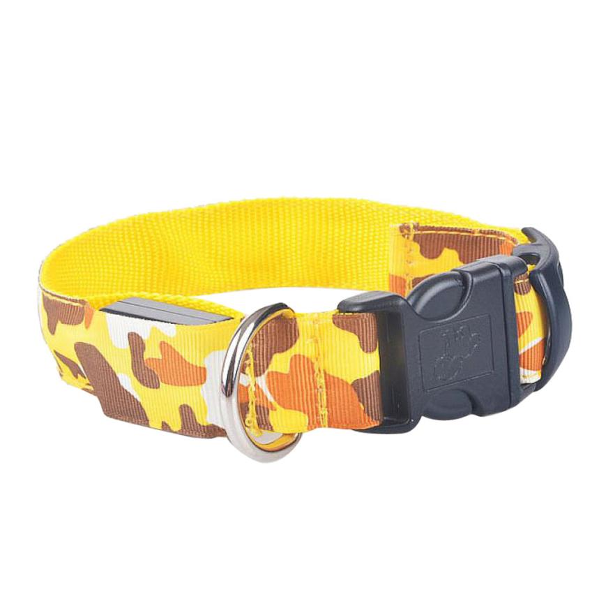 luminous dog collar - Pawlunexa