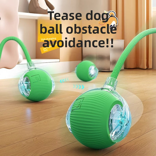 Automatic Electric Dog Toy Ball