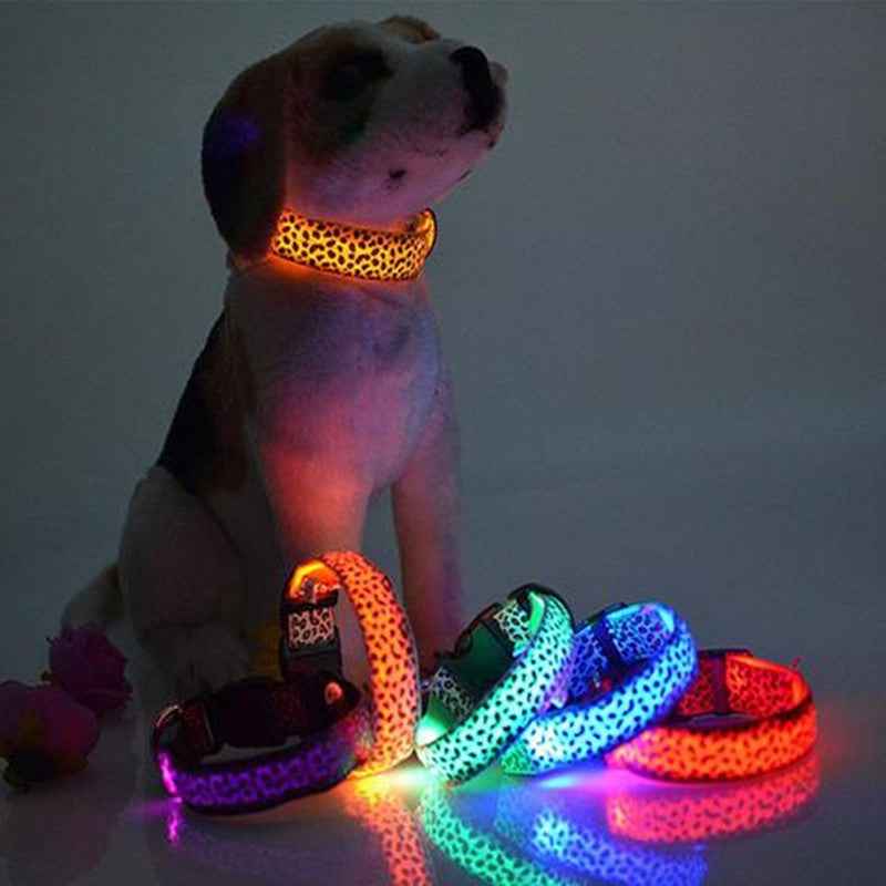 LED dog collar safety