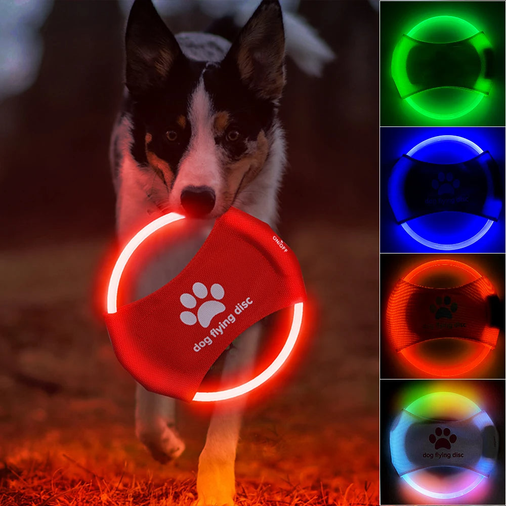 LED Dog Flying Disc - Pawlunexa