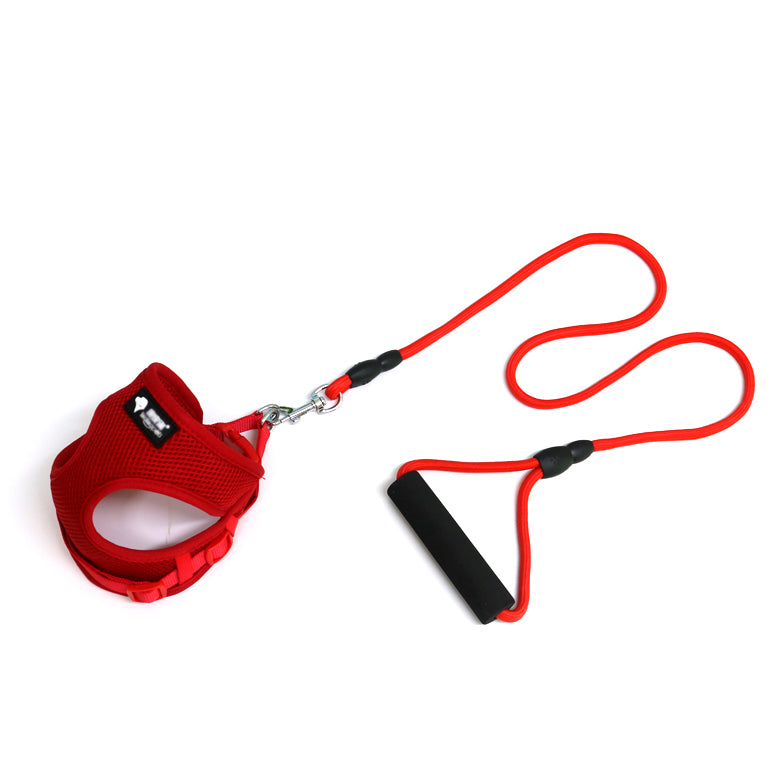 comfortable dog leash and collar - Pawlunexa