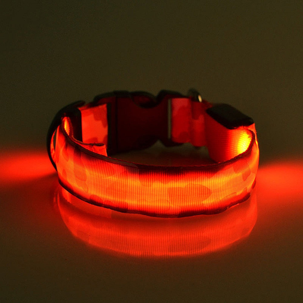 luminous dog collar - Pawlunexa