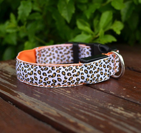 LED dog collar safety - Pawlunexa