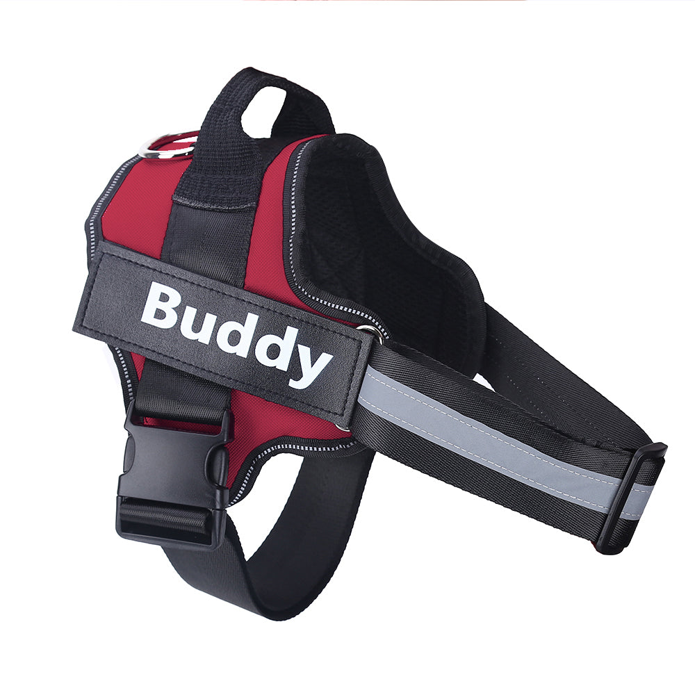 Personalized No Pull Dog Harness - Pawlunexa