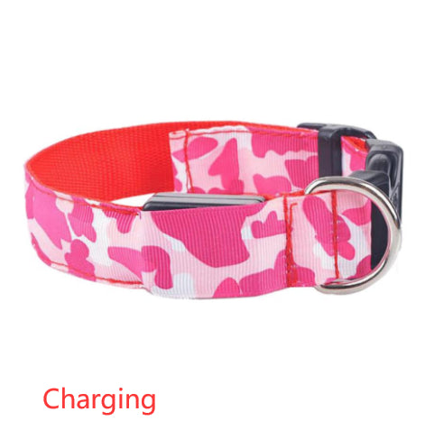 luminous dog collar - Pawlunexa