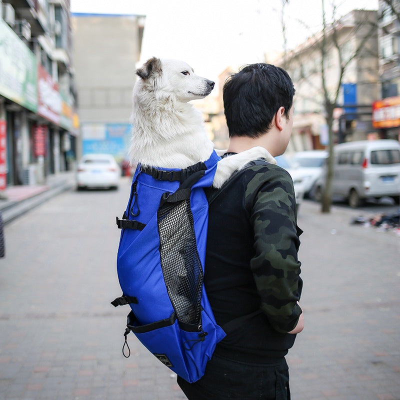 Pet Dog Carrier Backpack - Pawlunexa