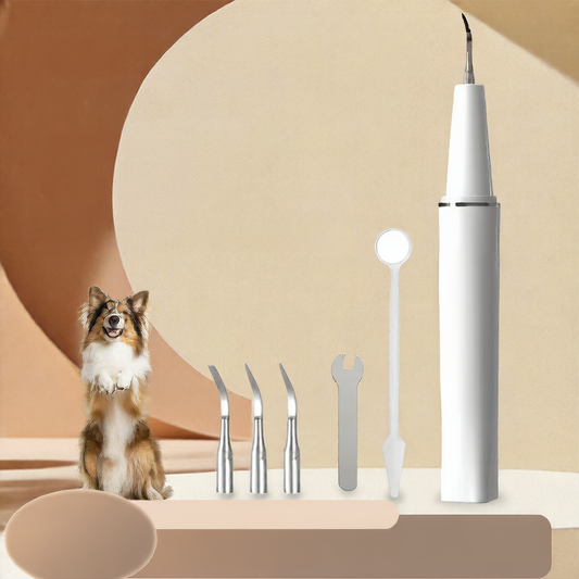 pet dental cleaner