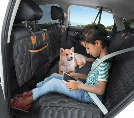Multifunctional Dog and Cat Travel Mat - Pawlunexa