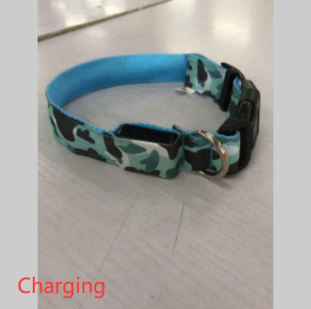 luminous dog collar - Pawlunexa