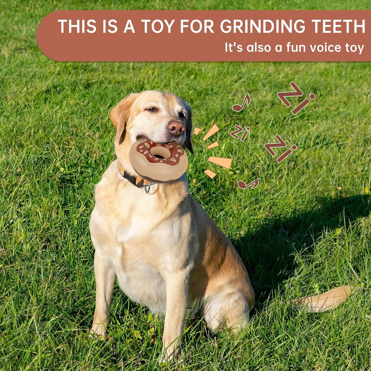 Durable Dog Chew Toy - Pawlunexa