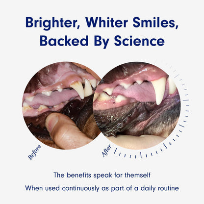 Pet Dental Cleaning Powder for Cats and Dogs